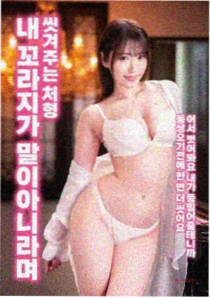 候鸟计划纪录片封面